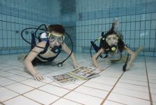 schnuppertauchen 2012_01_06_36